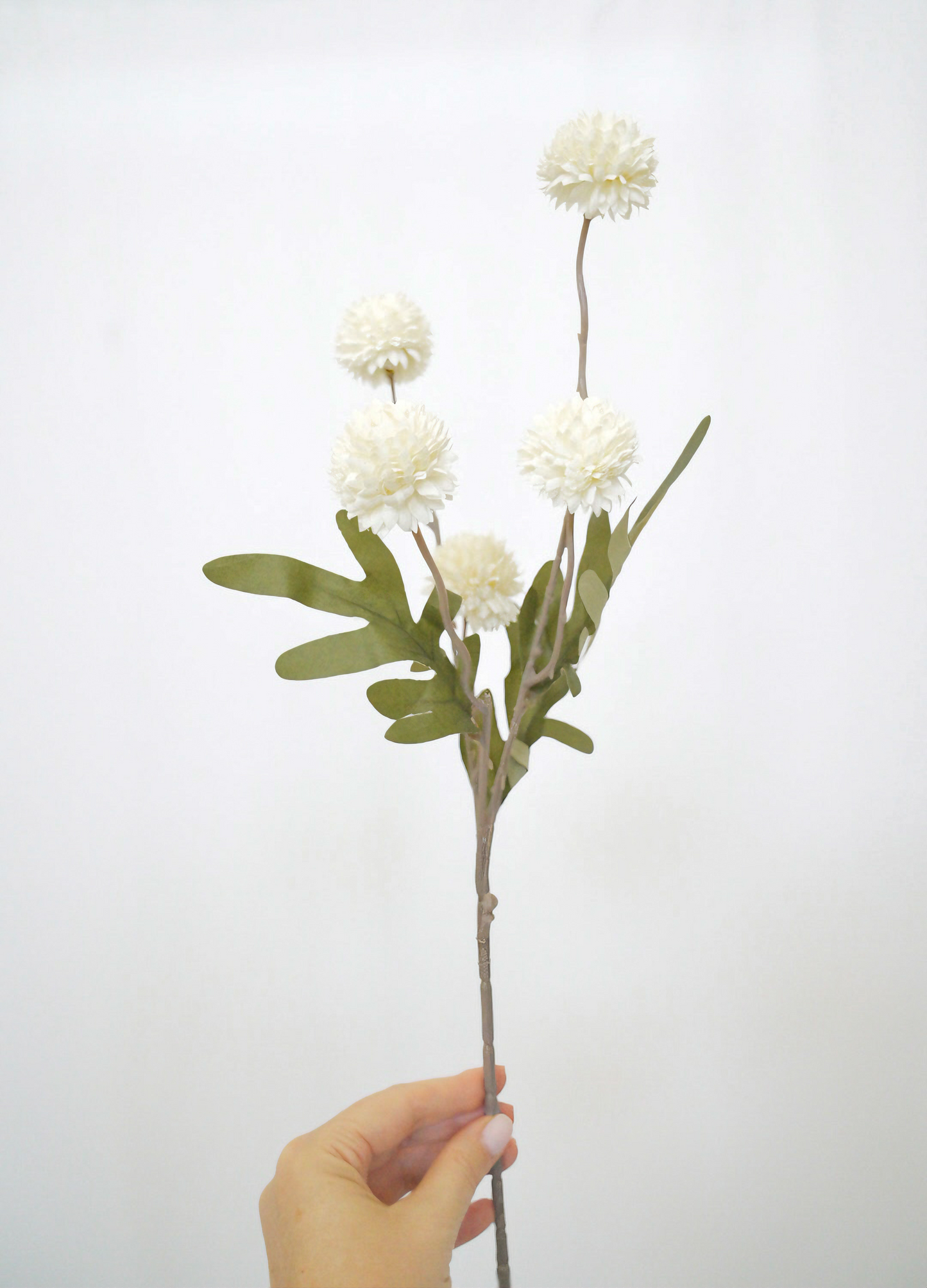 5 Colors Artificial Dandelion | Ball Artificial Flower | Chrysanthemum