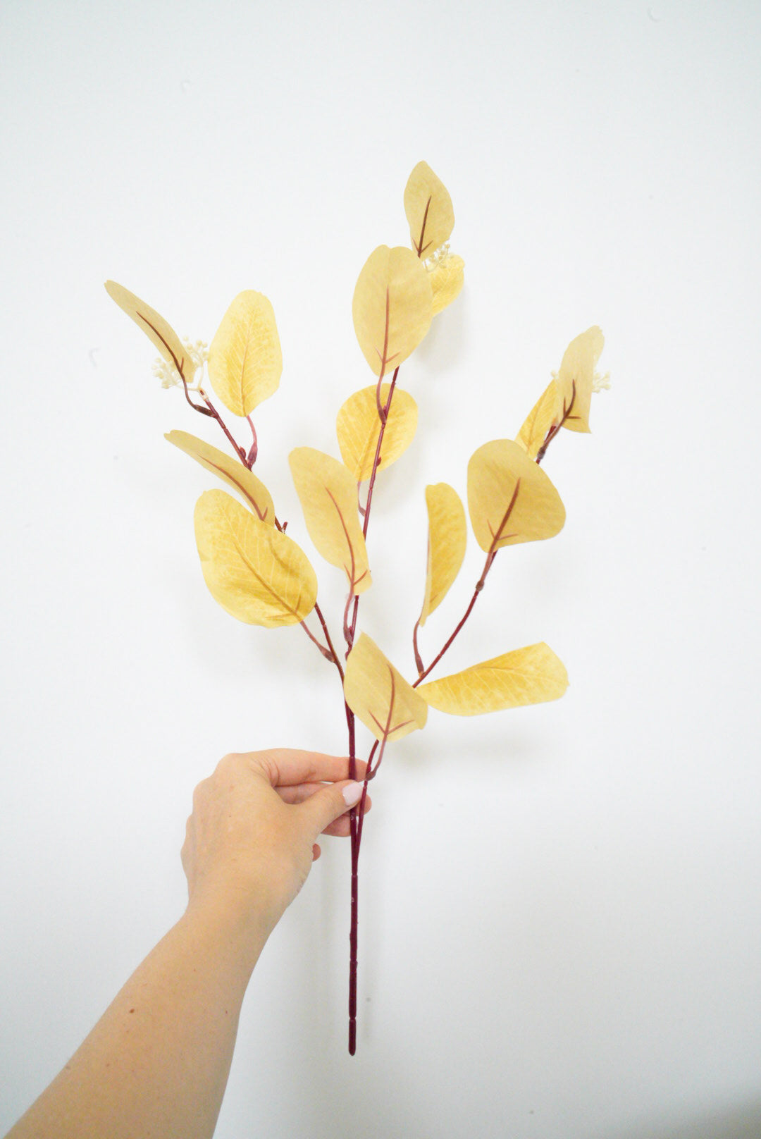 Artificial Leaves 5 Colors | Nordic Faux Color Eucalyptus